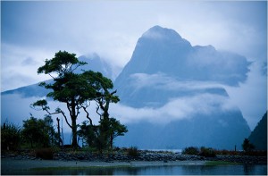 Fiordland National Park In New Zealand